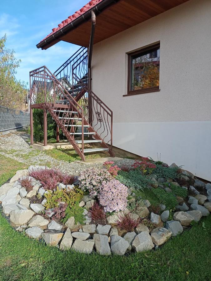 Hortensjowy Zakatek W Pieninach Sromowce Wyzne Bagian luar foto