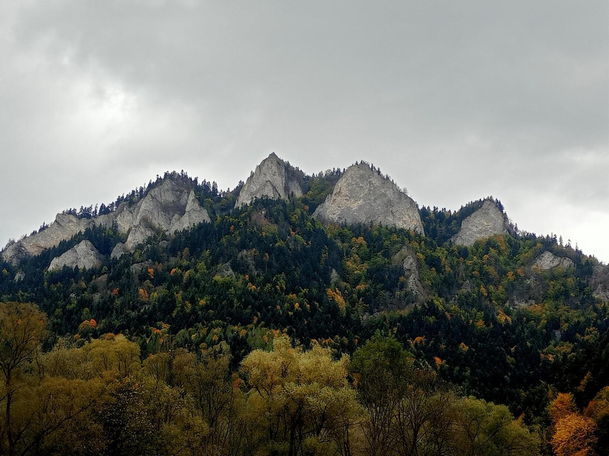 Hortensjowy Zakatek W Pieninach Sromowce Wyzne Bagian luar foto